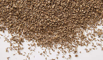 Natural short fibres pellets